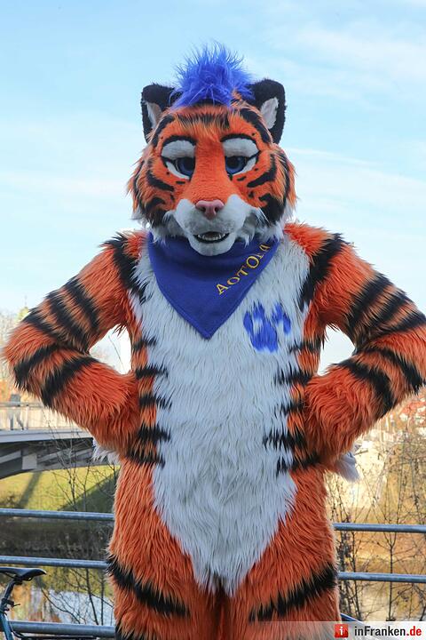 Erster Suitwalk in Bamberg