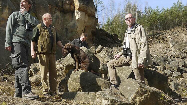 Was war denn das für ein Geräusch? Es dauerte nicht lange, bis sich Sebastian Weigand, Albert Schrenker, Alexander Ulmer und Frank Reißenweber (von links) einig waren, dass sich da ein großer Kolkrabe lautstark darüber beschwerte, dass das Quartett inklusive Jagdhund Ella im Dietzenloch unterwegs war. Foto: Berthold Köhler