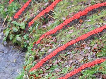 Eine vergrößerte Ansicht des Kunstwerks auf der Insel in der Lauter. Foto: Matthias Einwag