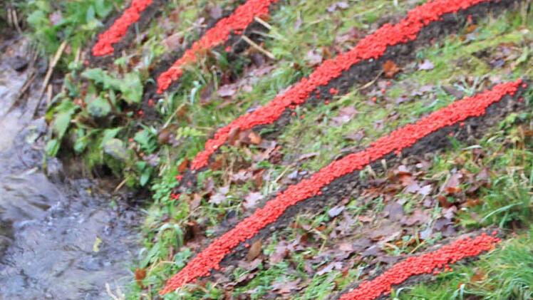 Eine vergrößerte Ansicht des Kunstwerks auf der Insel in der Lauter. Foto: Matthias Einwag