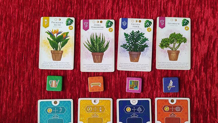 Sattgrün im Test - Familien-Legespiel zum Thema Zimmerpflanzen