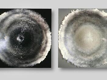 Für diese Arbeit (Displayglas auf Holz) erhielt Josepha Gasch-Muche 2006 den Coburger Glaspreis. Foto: Archiv/Kunstsammlungen