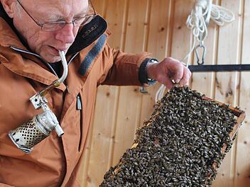 Mit der Bienenpfeife beruhigt Imker Hannes Neumeier die Tiere, denn die sind - ob der dreisten Störung - etwas sauer. Fotos: Martin Kreklau
