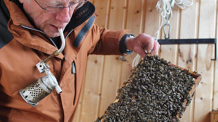 Mit der Bienenpfeife beruhigt Imker Hannes Neumeier die Tiere, denn die sind - ob der dreisten Störung - etwas sauer. Fotos: Martin Kreklau