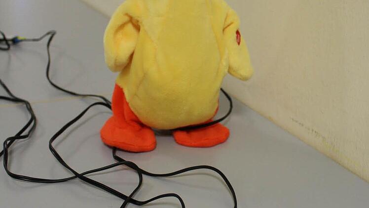 Ein anderer Sch&uuml;ler l&auml;sst sich eher von dieser Ente zum Dr&uuml;cken begeistern. Foto: Lisa Kieslinger