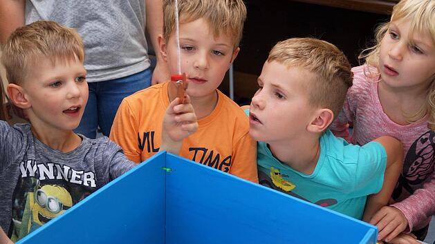 Was da wohl noch so herumschwimmt im wundersamen Holzaquarium?  Fotos: Denise Burkhardt