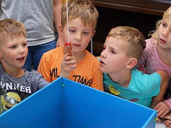 Was da wohl noch so herumschwimmt im wundersamen Holzaquarium?  Fotos: Denise Burkhardt
