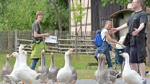 Wenn am 1. April das Fränkische Freilandmuseum Fladungen wieder seine Pforten öffnet, dann sind die Tiere im Museum, wie hier die Gänse, immer wieder ein Fotomotiv und erinnern an das dörfliche Leben von einst.  Foto: Friedrich