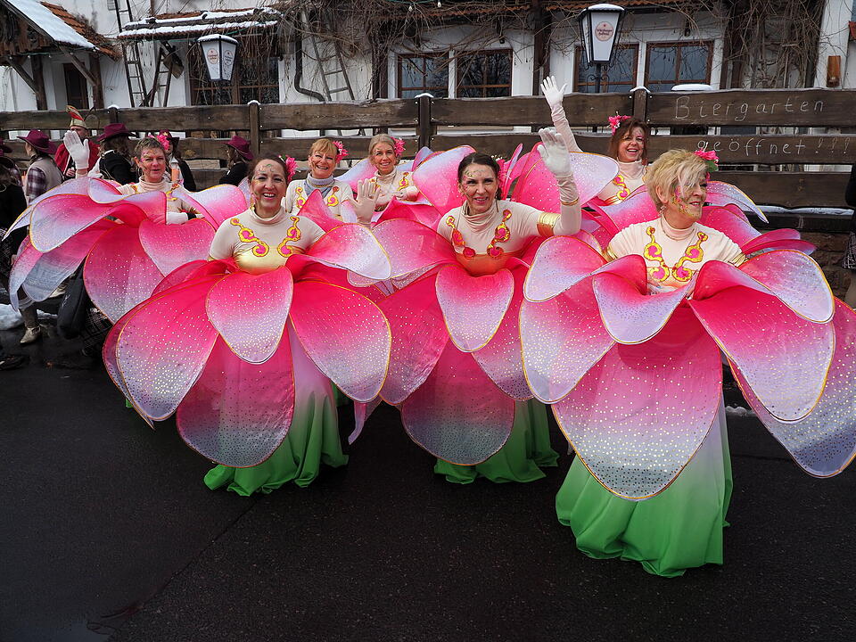 Unterfranken feiert Fasching!