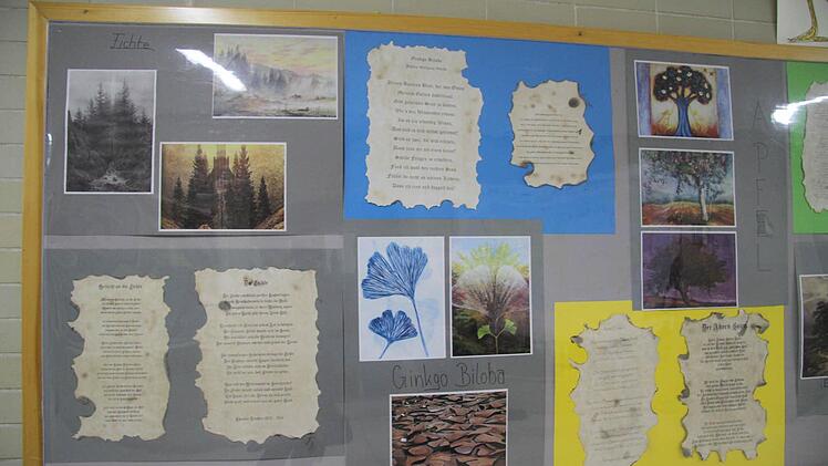 Die Schüler haben die Bäume, mit denen sie sich beschäftigt haben, fotografiert und ein ganzen Jahr lang begleitet.