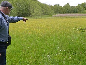 Frank Reißenweber zeigt auf das Naturdenkmal "Feuchtgebiet bei Sonnefeld". Fotos: Rainer Lutz