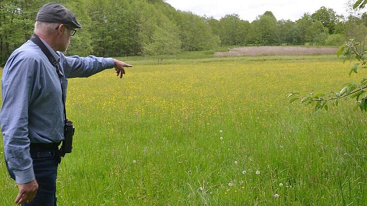 Frank Reißenweber zeigt auf das Naturdenkmal "Feuchtgebiet bei Sonnefeld". Fotos: Rainer Lutz