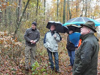 Stadtförster Jörg Mäckler erläuterte den Stadträten im Wald die Situation des kommunalen Forstes. Foto: Bjrön Hein