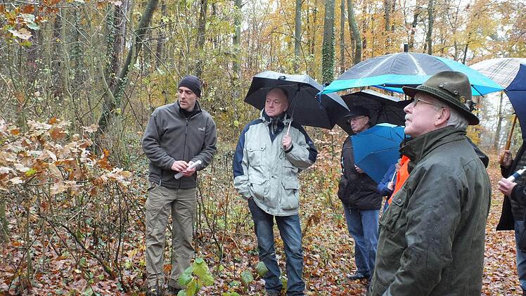 Stadtförster Jörg Mäckler erläuterte den Stadträten im Wald die Situation des kommunalen Forstes. Foto: Bjrön Hein