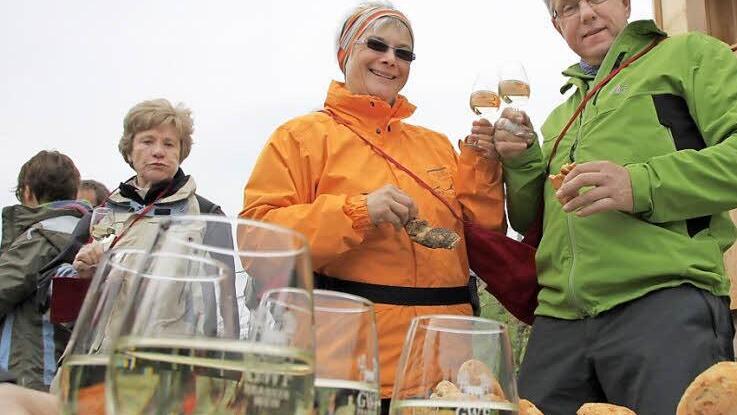 Bisher gibt es nur bei geführten Wanderungen eine kleine Brotzeit in den Weinbergen. Foto: Archiv/ Markus Reeh