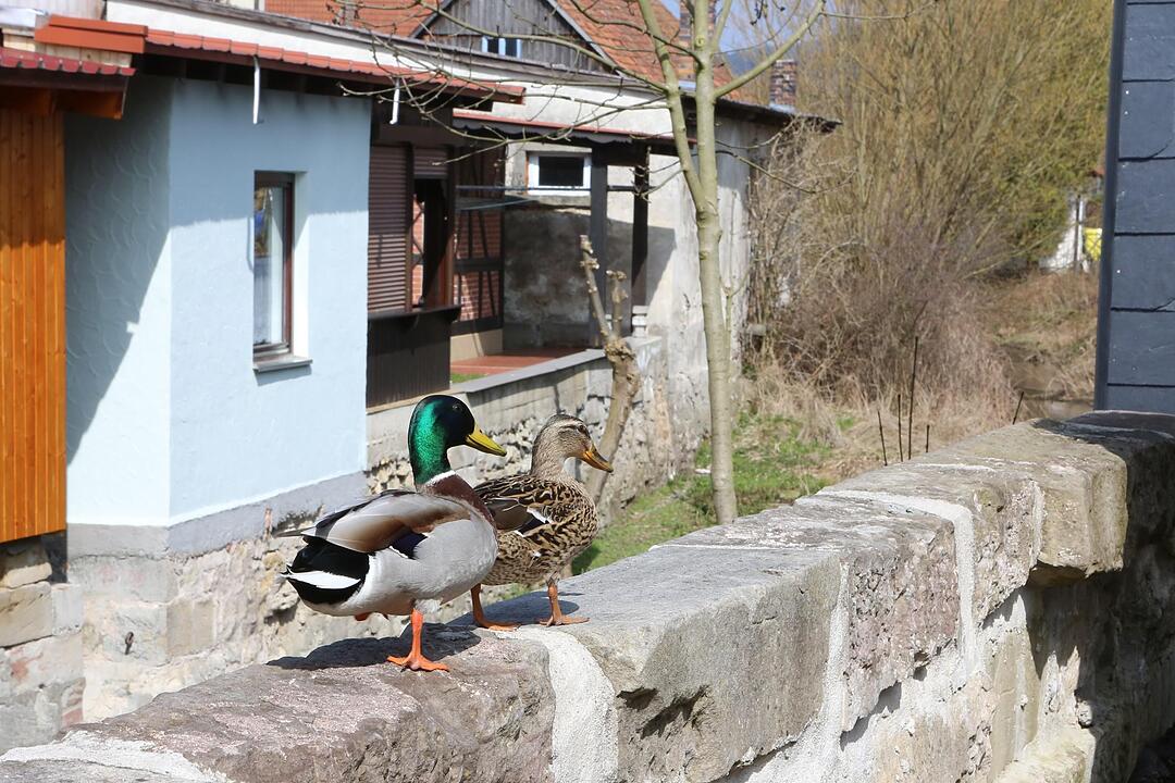 SoS Unterrodach im Lkr. KC; Foto: Barbara Herbst