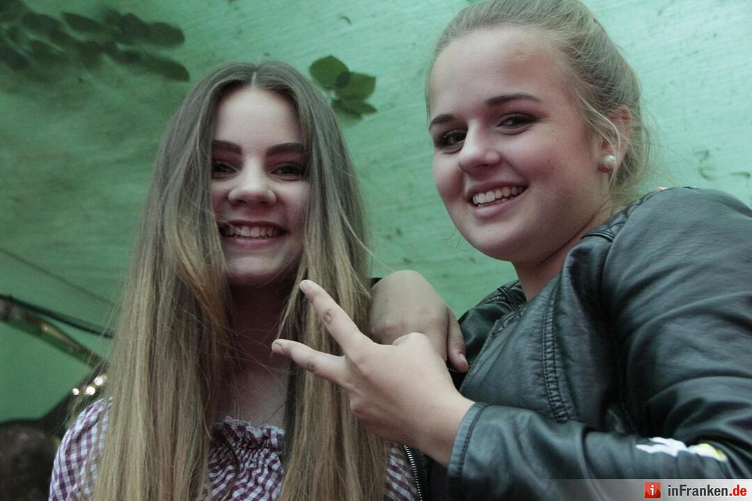 Publikum Annafest