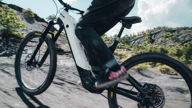 E-Bike-Motoren im &Uuml;berblick: