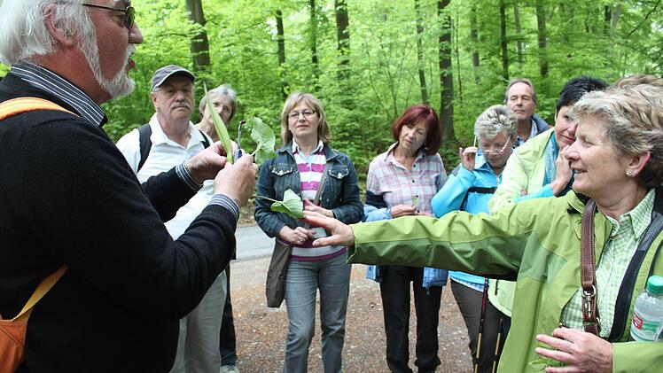 Eine Staude von Belang: Auf dem Weg zur Hohen Eller kam den Wandernden einiges unter, was einer näheren Betrachtung wert war.