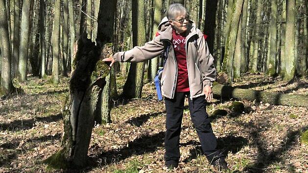 Auch wenn Wanderf&uuml;hrerin Hildegard W&auml;chter &ouml;fter mal im Wald stand, so hatte das doch immer seinen Sinn. Hier steht sie an einstigen Grenzmarkierungen. Fotos: Markus H&auml;ggberg