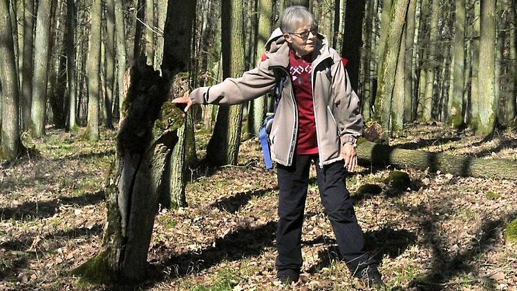 Auch wenn Wanderführerin Hildegard Wächter öfter mal im Wald stand, so hatte das doch immer seinen Sinn. Hier steht sie an einstigen Grenzmarkierungen. Fotos: Markus Häggberg