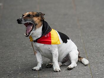 Foto: Maja Hitij/dpa