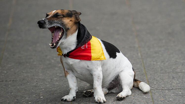 Foto: Maja Hitij/dpa