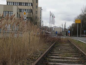 Die Aurachtaltrasse ist in Herzogenaurach nach wie vor umstritten. Foto: Bernhard Panzer (Archiv)