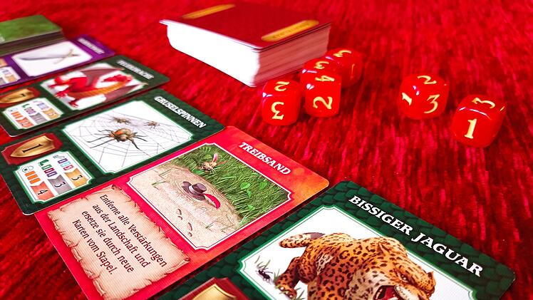 Spiele-Test "Dragonwood": Schnelles Fantasyspiel mit Karten und Würfeln