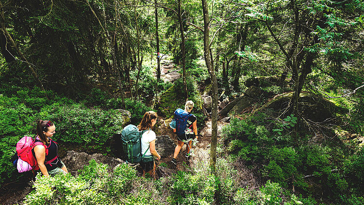 Wandern im Fichtelgebirge