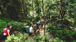 Wandern im Fichtelgebirge