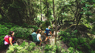 Wandern im Fichtelgebirge