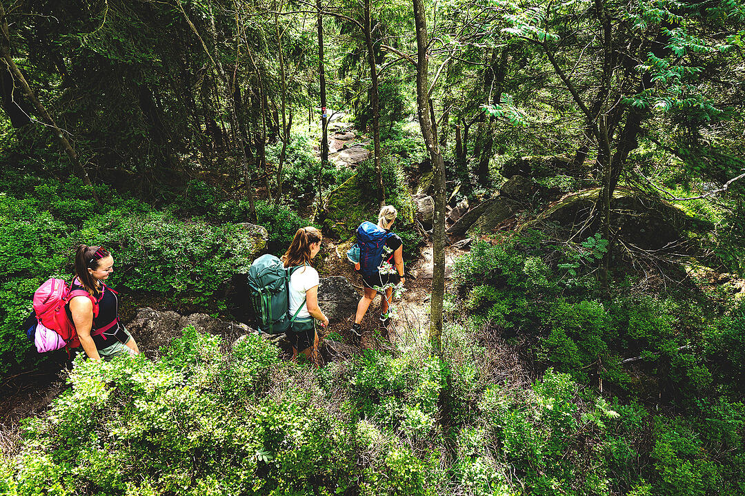Wandern im Fichtelgebirge