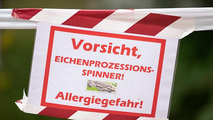 Eichenprozessionsspinner