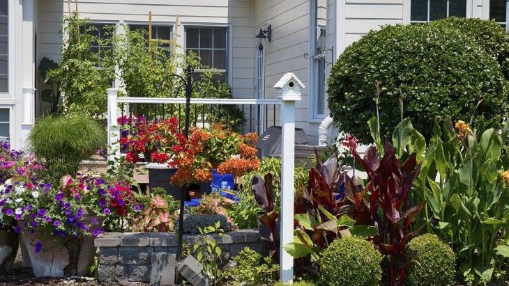 Ein bislang noch unbekannter Täter hat am Samstag wertvolle Bäume aus einem Vorgarten in Stadtlauringen gestohlen. Symbolfoto: pixabay