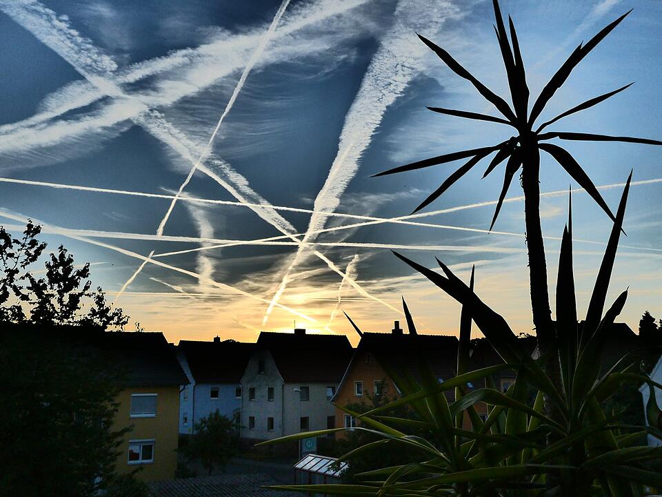 Die schönsten Sommerfotos aus Bad Kissingen und Umgebung