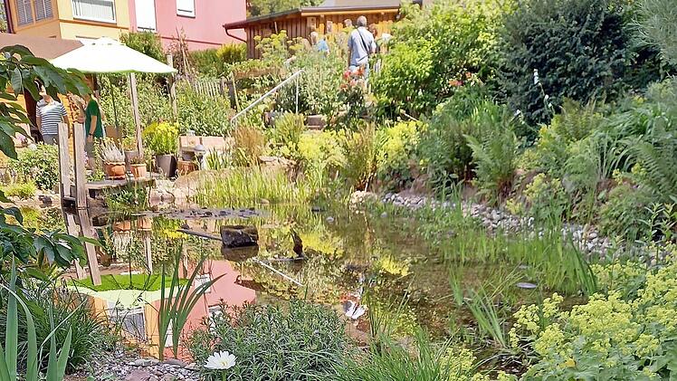 Dieser Garten hatte im Jahr 2022 ge&ouml;ffnet.