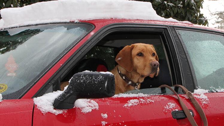 Wintereinbruch in Bad Brückenau. Foto: Ulrike Müller
