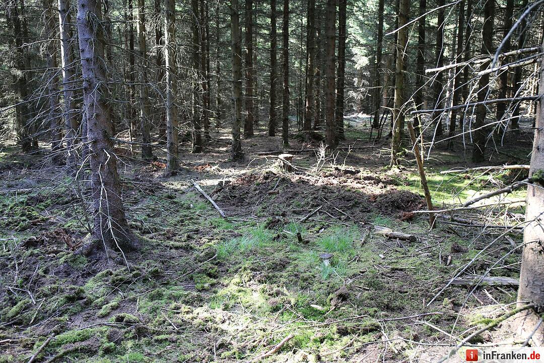 Fundort von Peggys Leiche