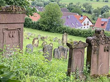 Grabsteine auf dem jüdischen Friedhof in Pfaffenhausen. Was die Symbolik bedeutet, erklärt Cornelia Mence bei einer Führung am 5. September.