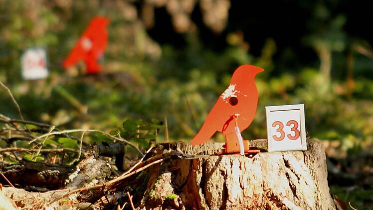 Auf einer Lane sieht der Schütze die Ziele mit der kleinen runden "Hitzone", durch die sein Diabolo gehen muss.