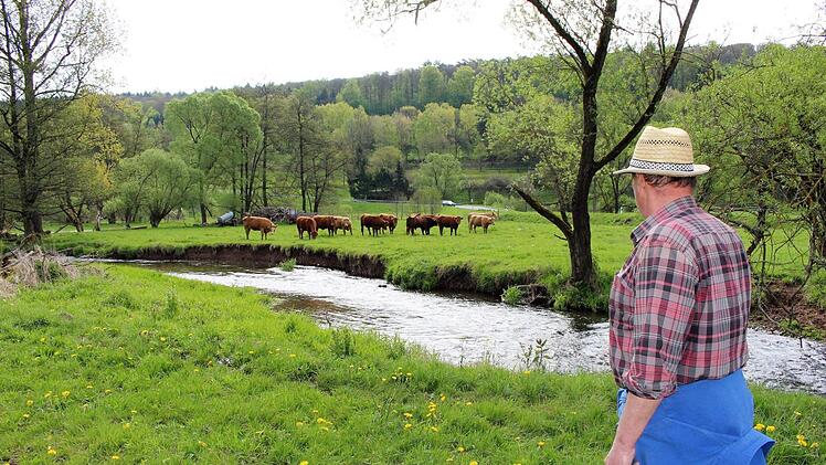 Karlheinz Kress auf der Weide mit den Rindern der Weidegemeinschaft, die um weitere zehn Jahre verlängert wird.  Foto: Julia Raab