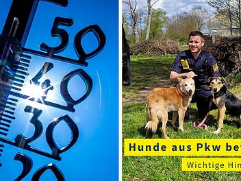 Hunderettung in Haßfurt