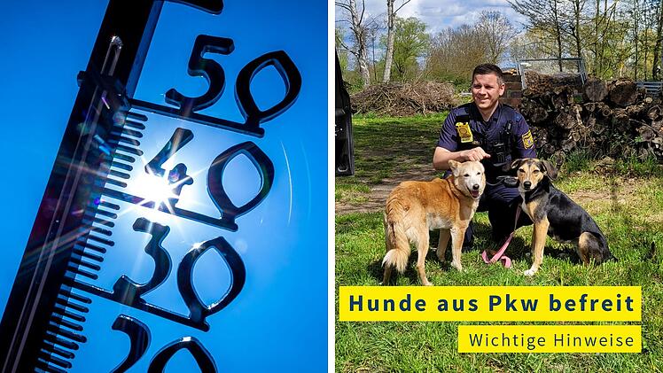 Hunderettung in Haßfurt