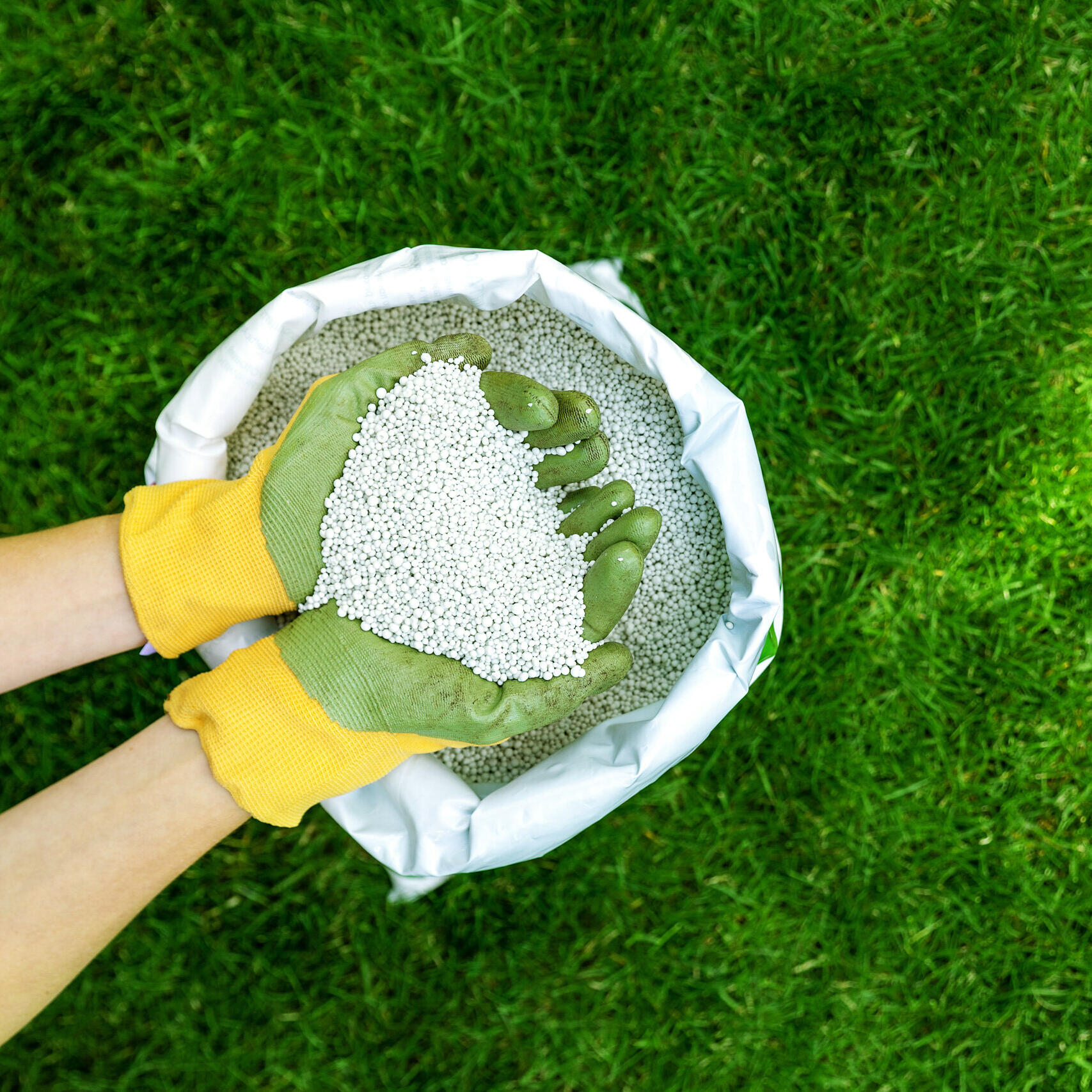 Rasen im Sommer richtig dngen: Diese Dnger sind zu empfehlen