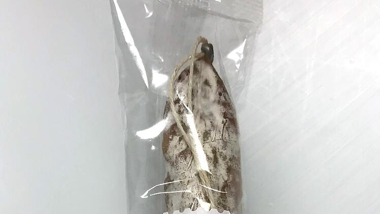 Aldi ruft beliebte Wurst zurück: Salami enthält Salmonellen - Es drohen Durchfall, Erbrechen und Fieber