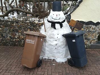 Landkreis Bamberg: Müllabfuhr wegen Schneefall verschoben - wann die Tonnen abgeholt werden