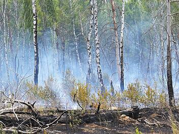 Waldbrand bei J&uuml;terbog