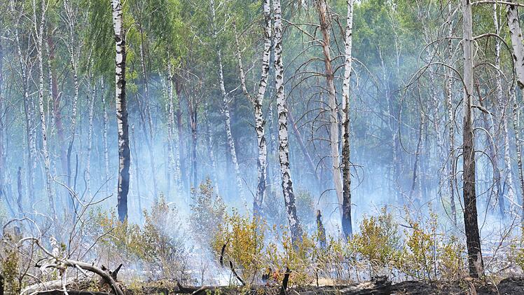 Waldbrand bei J&uuml;terbog