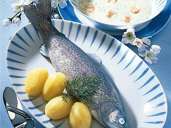 Eine Forelle ist gesund und schmeckt. Foto: Archiv